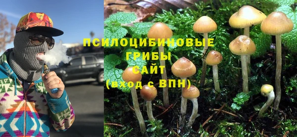 прущие крисы Баксан
