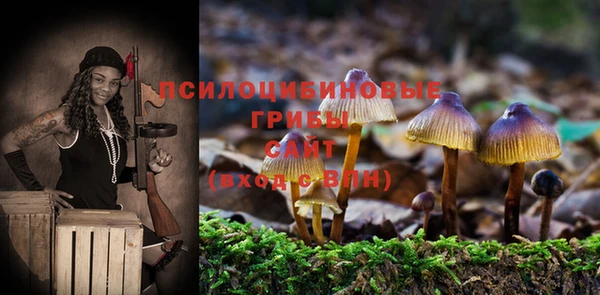 мдпв Балахна