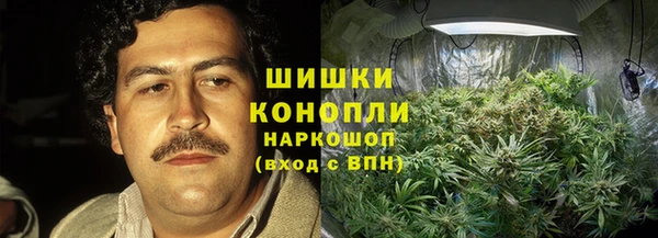 бошки Снежногорск